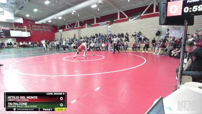 146 lbs Cons. Round 5 - Tai Falcone, Amador Valley High School vs Attilio Del Monte, Liberty High School