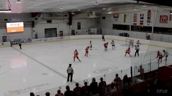 Replay: Home - 2024 Rebels U18 AAA vs ND Hounds U18 (G) | Oct 1 @ 7 PM