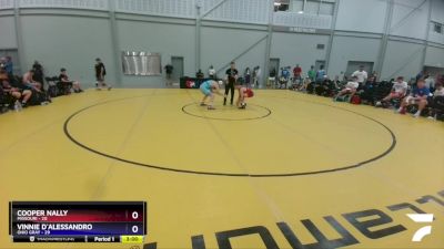 132 lbs Round 3 (8 Team) - Cooper Nally, Missouri vs Vinnie D`Alessandro, Ohio Gray