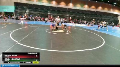 126 lbs Cons. Round 1 - Mason Webb, La Pine vs Devin Meadows, Shasta