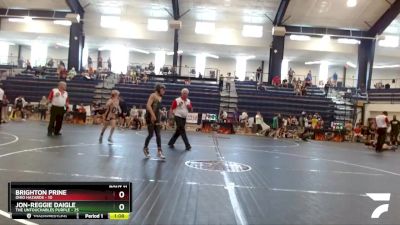 80 lbs Finals (8 Team) - Brighton Prine, Ohio Hazards vs Jon-Reggie Daigle, The Untouchables Purple