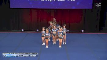 Florida Top Dog All Stars - Frost [2026 L2 Junior - Flex - Small Semis] 2026 The Summit