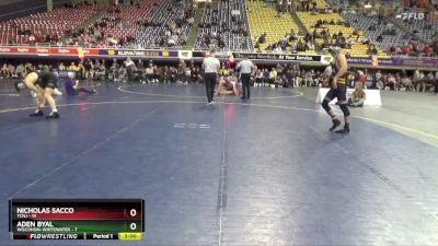 165 lbs Semis (4 Team) - Nicholas Sacco, TCNJ vs Aden Byal, Wisconsin-Whitewater