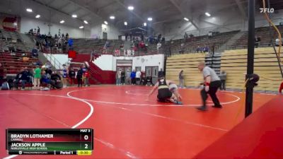285 lbs Quarterfinal - Jackson Apple, Noblesville High School vs Bradyn Lothamer, Carroll