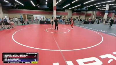 86 lbs Semifinal - Gabriel Jaxon Medrano, Gracie Barra Westchase Wrestling Club vs Helio Gonzalez, Dead Shot Wrestling Club