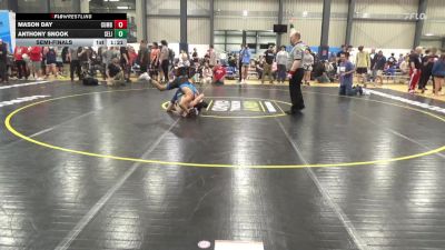 125 lbs Semifinal - Mason Day, Cumberland vs Anthony Snook, Selinsgrove