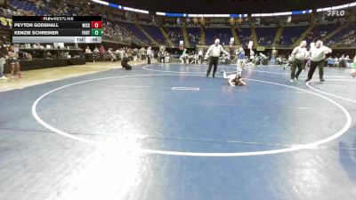 66 lbs Semifinal - Peyton Godshall, Wissahickon vs Kenzie Schreiner, Fort LeBoeuf