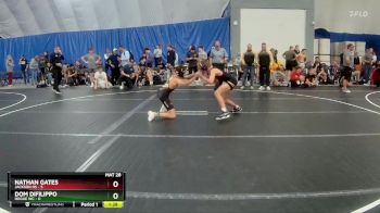 106 lbs Round 2 (8 Team) - Nathan Gates, Jackson HS vs Dom Difilippo, Rogue WC