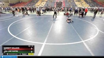 67 lbs Quarterfinal - Garrett Williams, MN vs Jon Luke Austin, IN