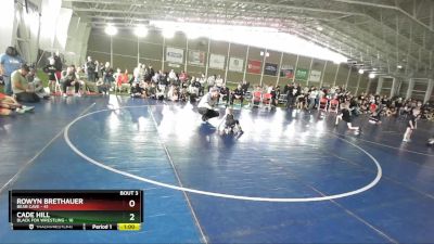 49 lbs Round 2 (4 Team) - Rowyn Brethauer, Bear Cave vs Cade Hill, Black Fox Wrestling