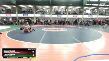 117-123 lbs Quarterfinal - Chase Davis, Johnsburg Area Wrestling vs Jacob Payne, Normal West