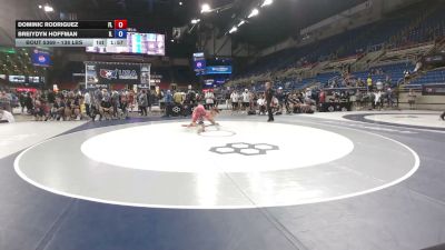 138 lbs Cons. Rd Of 64 - Dominic Rodriguez, Florida vs Breiydyn Hoffman, Illinois