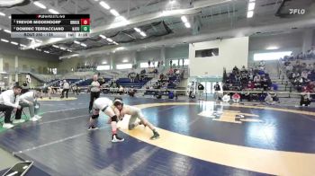 125 lbs Semifinal - Dominic Terracciano, New Jersey City University vs Trevor Middendorf, Brockport