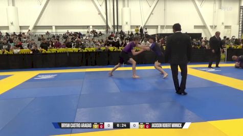 Jackson Robert Minnick vs Bryan Castro Aragao 2024 World IBJJF Jiu-Jitsu No-Gi Championship