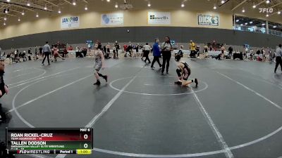 76 lbs Semifinal - Tallen Dodson, Shenandoah Valley Elite Wrestling Club vs Roan Rickel-Cruz, Team Aggression