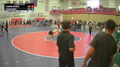 106 lbs Quarterfinal - Logan Wray, Tahoma vs Landon Morris, Cascade