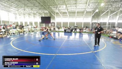 106 lbs Placement Matches (8 Team) - Carson Blum, Michigan vs Ryan Horner, New Jersey