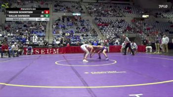 150 lbs 3rd Place Match - Dallas Davidson, Angola vs Brason Schortgen, Adams Central