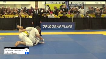 Dana Charles Lundquist vs Justin David Dubler 2024 World Masters IBJJF Jiu-Jitsu Championship