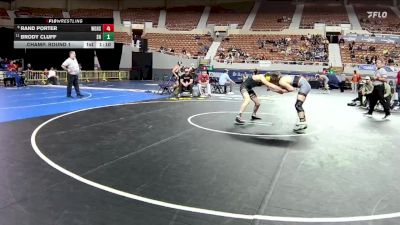 132-D3 Champ. Round 1 - Brody Cluff, Show Low High School vs Rand Porter, Walden Grove High School