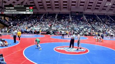 4A-132 lbs Champ. Round 1 - Olli Webb, Southeast Whitfield vs Elijah Booth, Walnut Grove