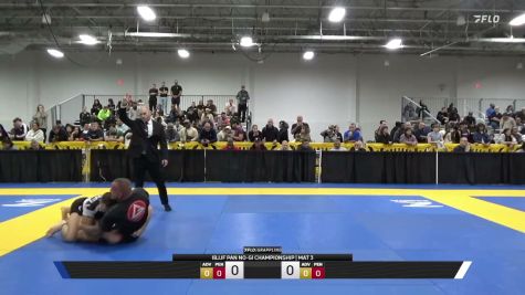 Daniel Calil vs Alexander Lvovich Leykikh 2026 Pan IBJJF Jiu-Jitsu No-Gi Championship