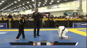 Elijah Asahi Pape vs Milan Medina 2026 IBJJF Jiu-Jitsu CON International