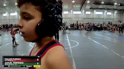 76 lbs Finals (2 Team) - Jeremy Mendez, All American vs Liam Merithew, Brawler Elite