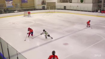 Replay: Home - 2025 Whalers U14 vs Bearcat Grn | Jun 6 @ 5 PM