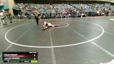 93-98 lbs Round 2 - Micah Wright, Silver State Wrestling Academy vs Colton Meixner, USA Gold
