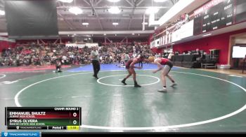 167 lbs Champ. Round 2 - Emmanuel Shultz, Albany High School vs Syrus Olvera, Rancho Cotate High School