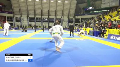 BRUNO CÉSAR DIAS vs EDUARDO D. GRIMALDO AROSEMENA 2024 Master International IBJJF Jiu-Jitsu North American Championship