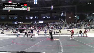 157 lbs Champ. Round 1 - Keegan Musgrove, Mccreary Central vs Aydan Farris, Ohio County