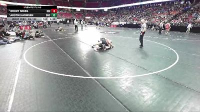 D3-138 lbs Quarterfinal - Brody Miess, Riverdale vs Austin Harmsen, Oakfield