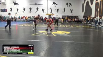 165 lbs Round 2 (10 Team) - Jordan Hardrick, Ohio Northern vs Brandon Peckham, University Of Wisconsin - Stevens Point