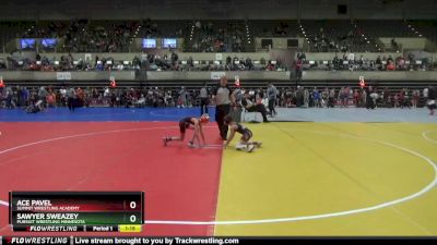 65 lbs Round 1 - Sawyer Sweazey, Pursuit Wrestling Minnesota vs Ace Pavel, Summit Wrestling Academy