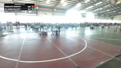 58 lbs Quarterfinal - Penelope Degroat, Dominate WC vs Eli James McCarty, No Team