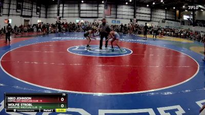 75 lbs Round 5 (6 Team) - Wolfie Strobl, DARKHORSE WRESTLING CLUB vs Niko Johnson, CAPITAL CITY WRESTLING CLUB