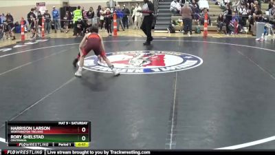 65 lbs Quarterfinal - Harrison Larson, Worthington Trojans vs Rory Shelstad, Centennial