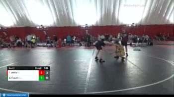 132 lbs Round 1 (4 Team) - Tyler Wells, Princeton vs Caleb Husch, Cameron A