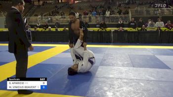 GERARDO APARICIO vs MARCOS VINICIUS BOAVENTURA LEOPO 2024 Pan Jiu Jitsu IBJJF Championship