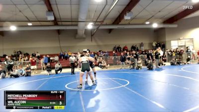 197 lbs Champ. Round 1 - Wil Aucoin, Adams State vs Mitchell Peabody, Nebraska-Kearney