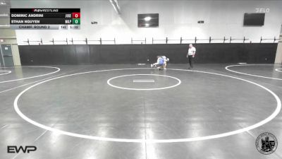 150 lbs Champ. Round 2 - Dominic Andrini, Junipero Serra vs Ethan Nguyen, Milpitas
