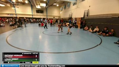 130-133 lbs Round 3 - Anthony Morales, Scottsbluff vs Logan Herbst, Fort Collins