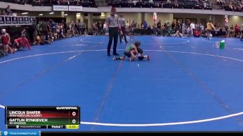 45 lbs Quarterfinal - Lincoln Shafer, Moen Wrestling Academy vs Gattlin Rynkievich, No Nonsense