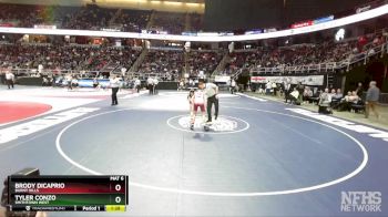 I-101 lbs Champ. Round 2 - Brody Dicaprio, Burnt Hills vs Tyler Conzo, Smithtown West