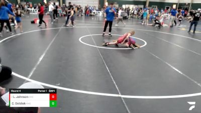 61-67 lbs Round 4 - Layla Johnson, Fairbury Matmen vs Chasity Ostdiek, Blue Hill