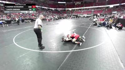 D3-132 lbs Quarterfinal - Lakota Brewer, Riverdale vs Cooper Schramski, Cumberland