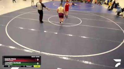 215 lbs Quarterfinal - Gavin Peck, Dover-Eyota vs Camden Guhlke, Springfield