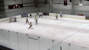 Replay: Vipr - 2024 GH White vs 93 Hockey White | May 10 @ 7 AM